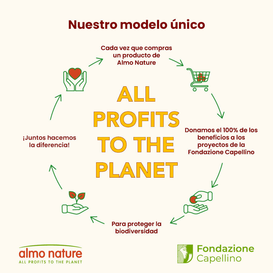 50 g Almo Nature HFC Hydration Help Sach&ecirc; de caldo de salm&atilde;o para gatos, , large Imagem n&uacute;mero 5